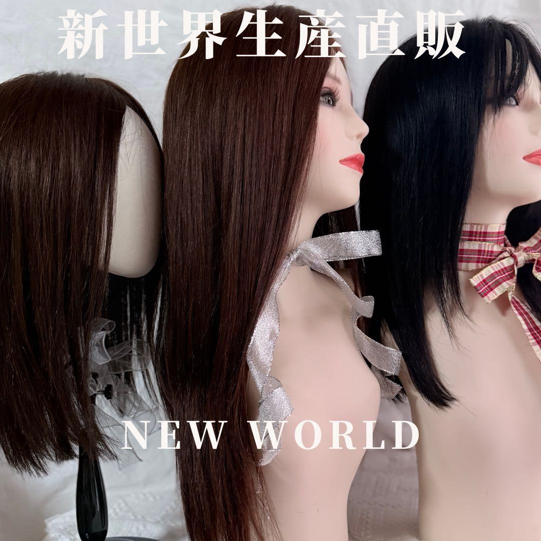 2026新世界　人毛　ウィッグ　フルウィッグ　シルクスキン　医療ウィッグ　レミー