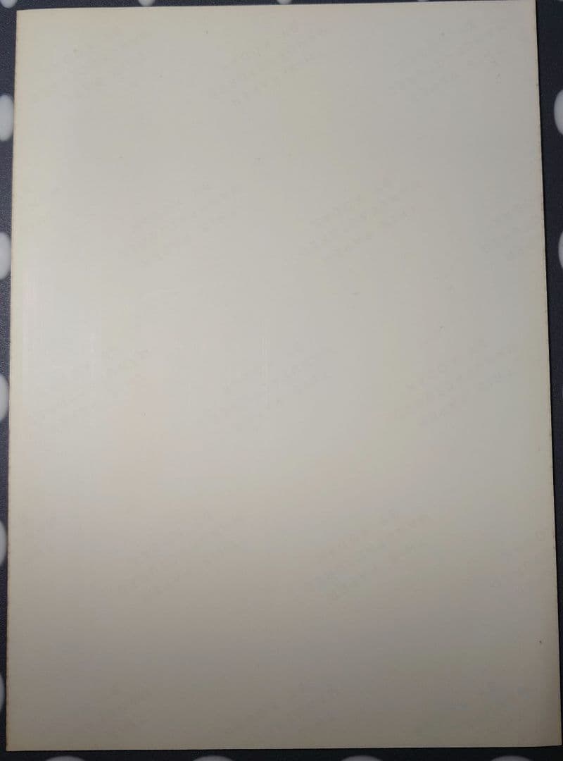 中山美穂 写真2L(激レア) 可愛いが渋滞してる」中山美穂＆倖田來未、