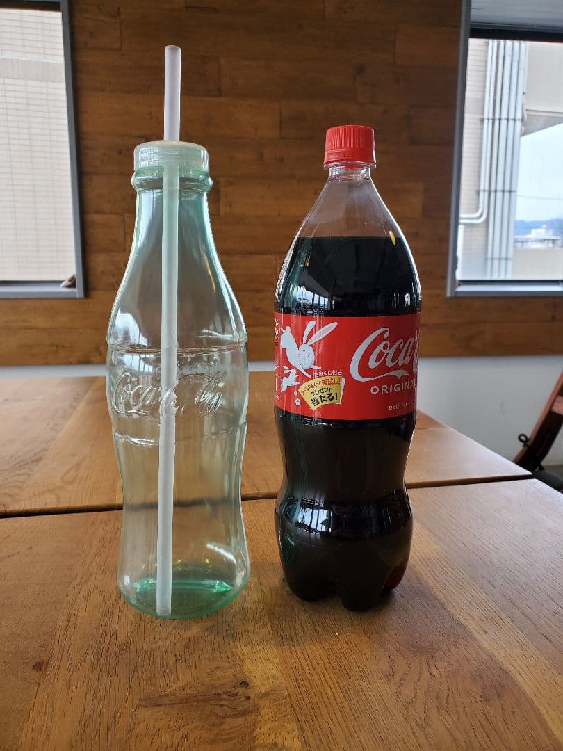 コカ・コーラ空ペットボトル ラスベガス販売品 10本セット