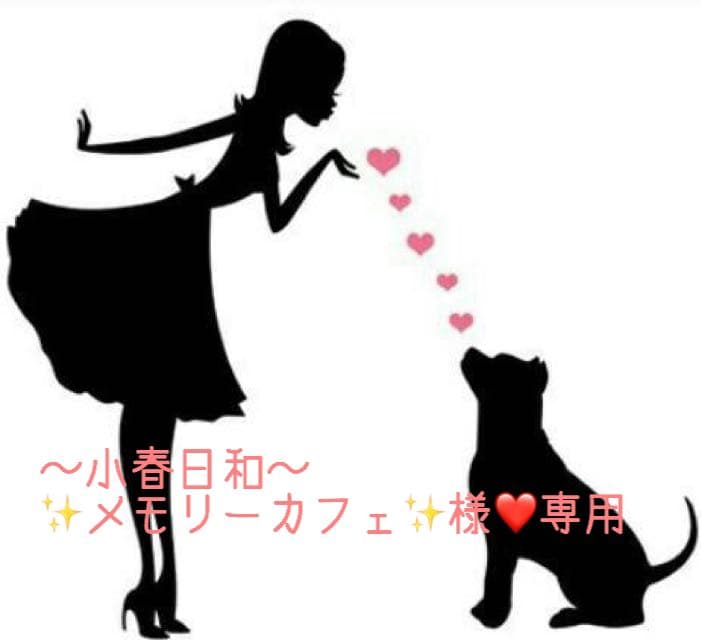 小春日和〜✨メモリーカフェ✨様❤専用❤犬服❤ドッグ