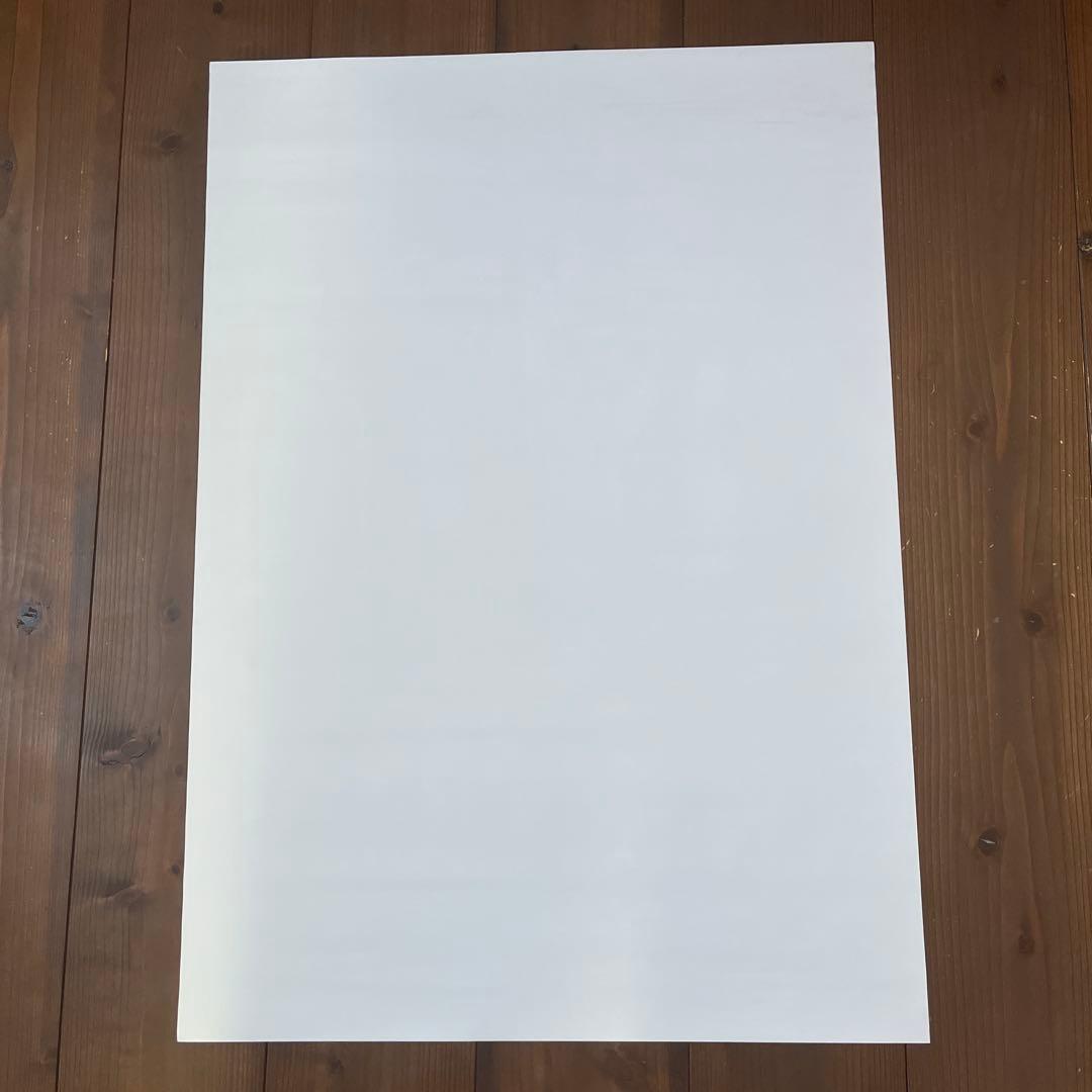 非売品 ブルーハーツ THE BLUE HEARTS タワレコ限定 ポスター