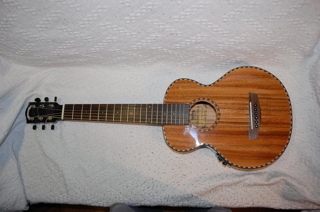 Headway HT-BEETLE アコースティックギター 生産終了 ジャンク品