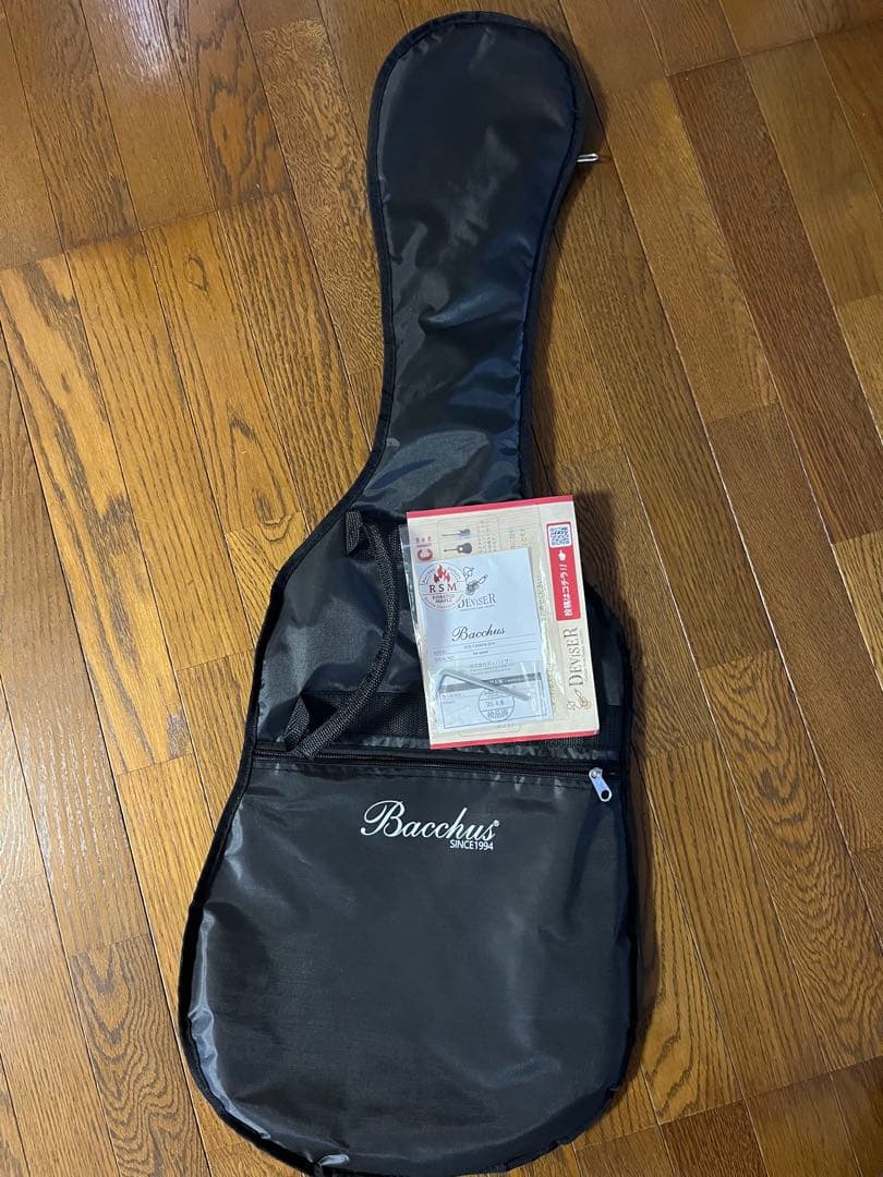 ギター Bacchus BTE-1-RSM SFG