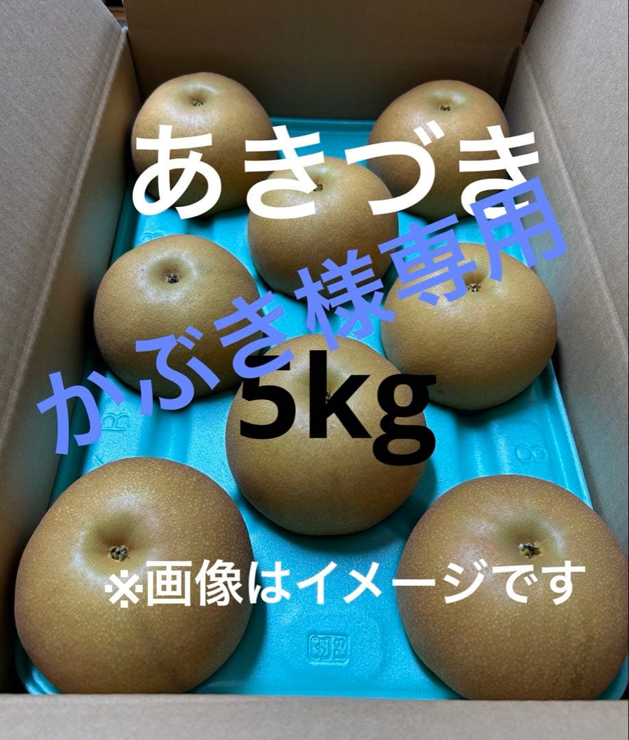 いさパパ様専用 いさひろ様専用スーパーライトパフベストラテL