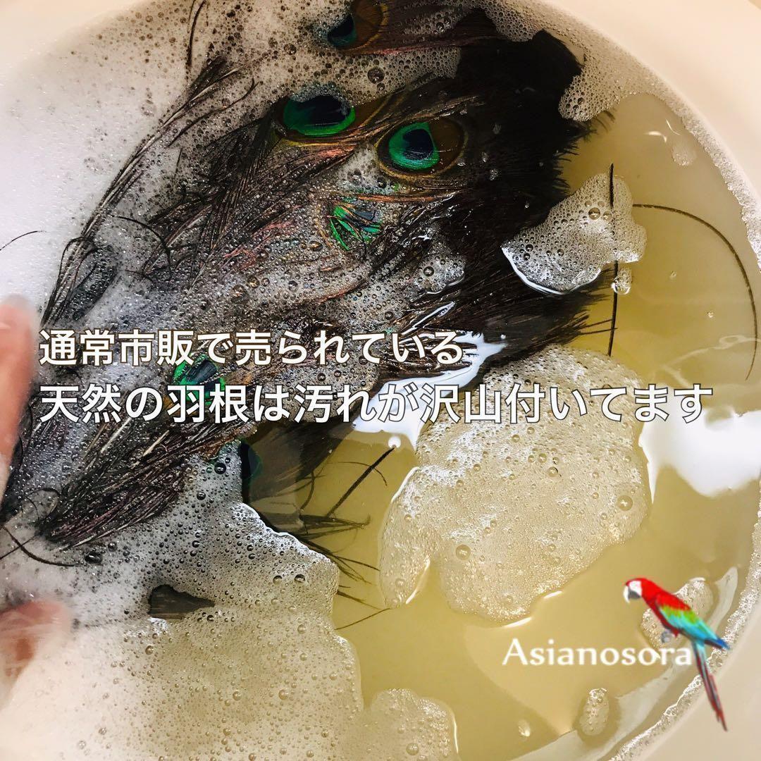 100枚■【クジャク 】孔雀の羽根 目玉 パーツ 鳥 羽根 素材