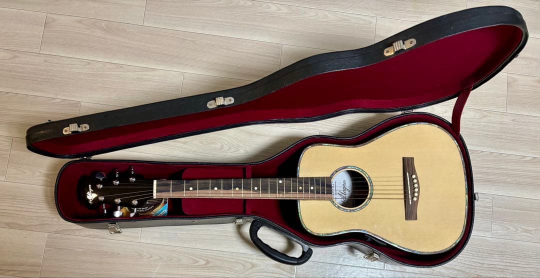 ミニアコースティックギター】 フィリピン Alegra アレグレ【マンゴー材】