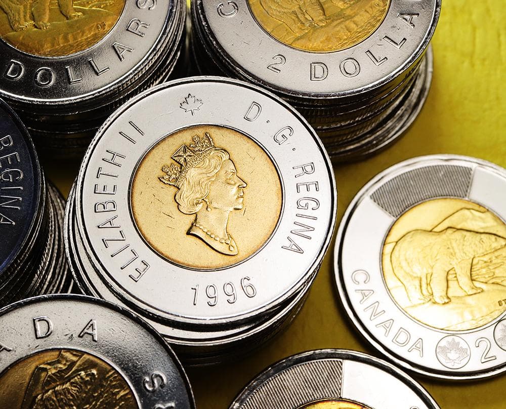 a317 カナダ 2ドル コイン 硬貨 北極熊 エリザベス女王 52枚 まとめて