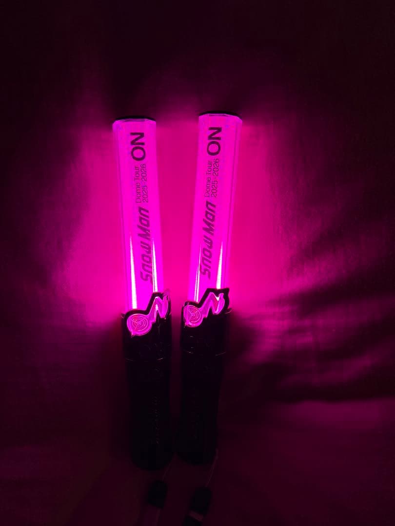 Man ペンライト 2本セット on