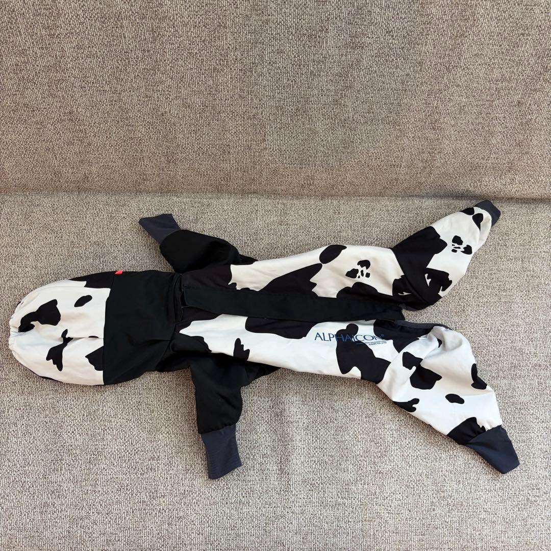 アルファアイコン　スノードッグガード　dxm アルファアイコン スノードッグガードDXM 【公式通販】