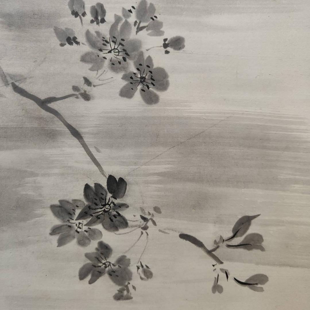 真作/巣雲/夜桜画賛/山水/桐共箱付/布袋屋掛軸A-411