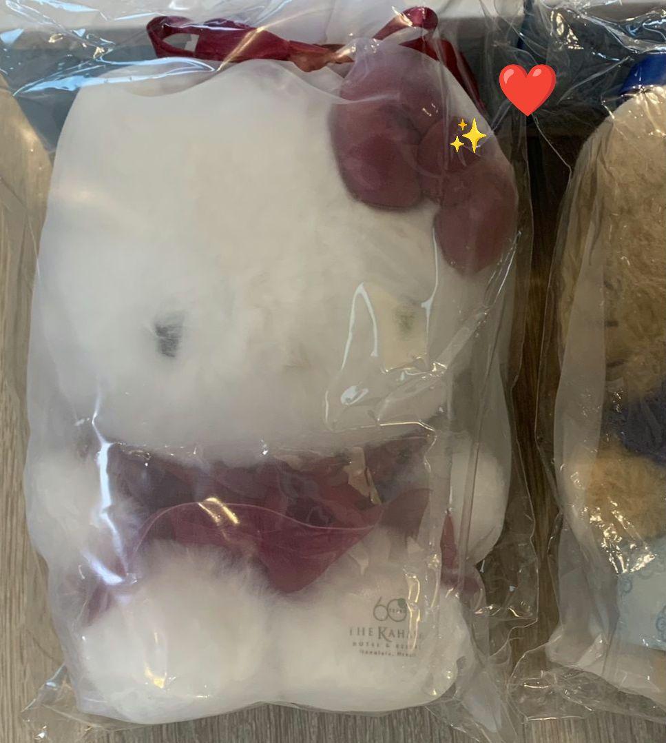 エクシブ　XIV　ハローキティ　ハローキティー　ハワイ　ぬいぐるみ　2個セット