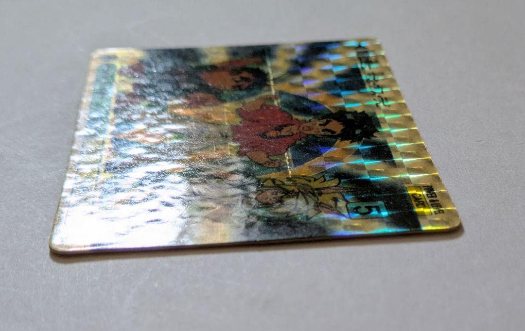 グランゾート カード 魔導戦士