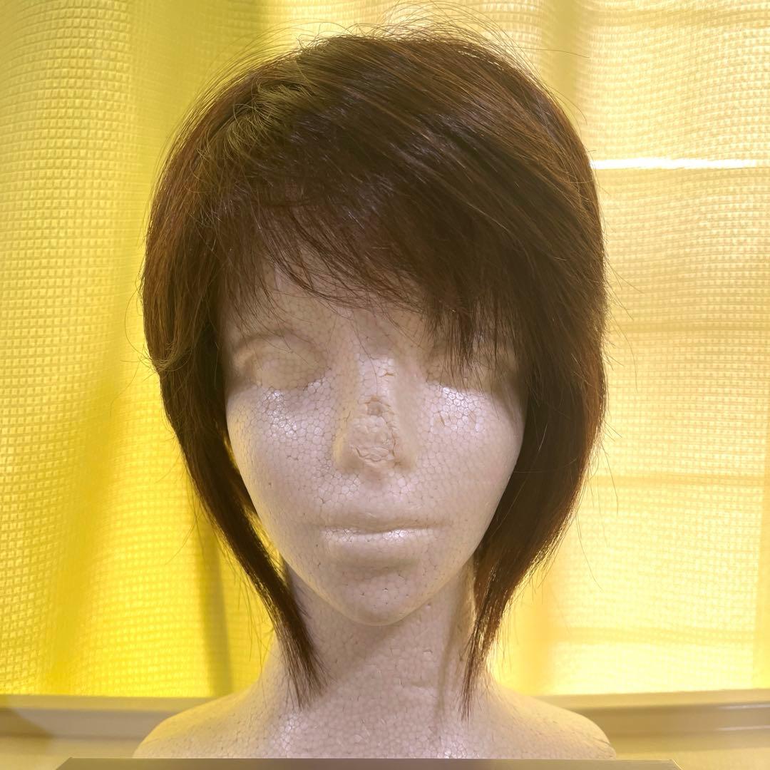 大幅値下げ⭐︎マリブウィッグ　ショートボブ人毛MIX／値下げ交渉可