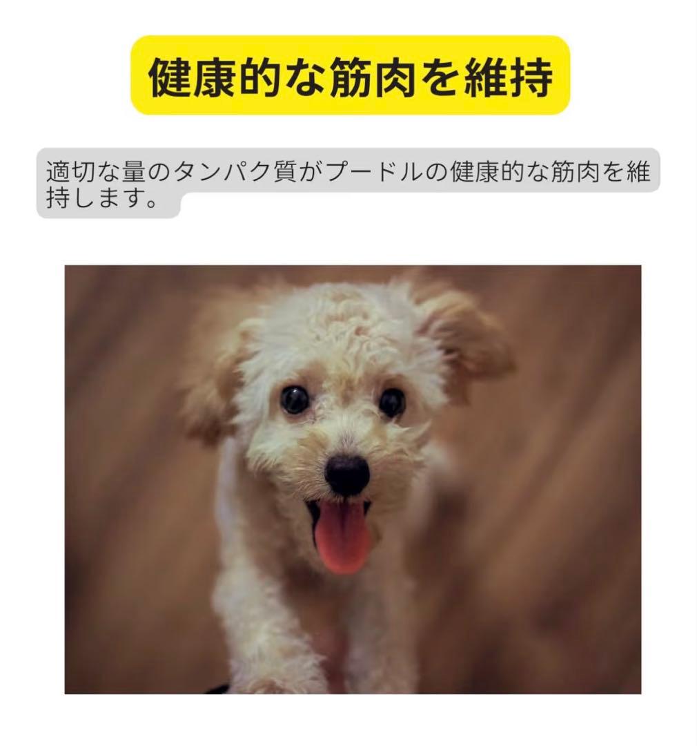  CANIN プードル ドライフード 7.5kg x3