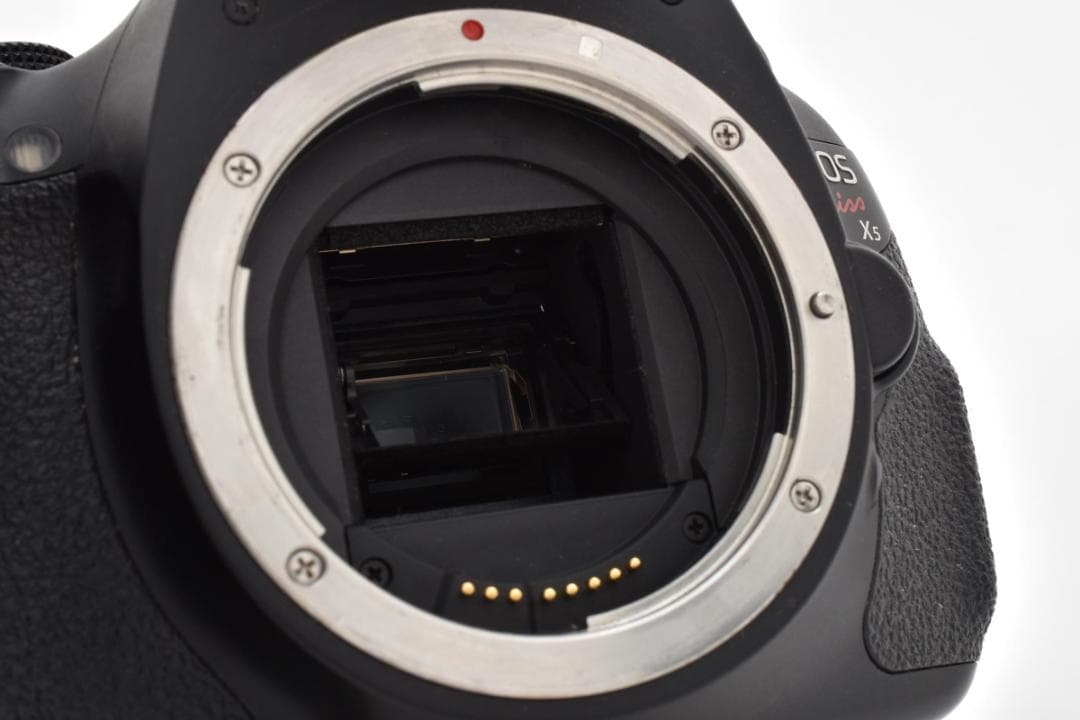 ■ 美品 ■ キャノン　Canon EOS Kiss X5 ボディ 《元箱付》