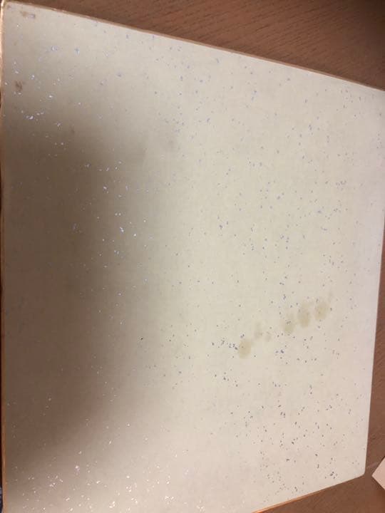 サイン色紙 勝俣州和 CHACHA