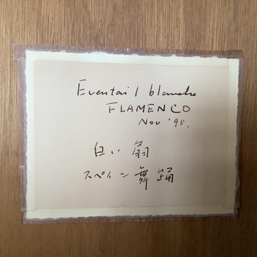 白い扇　スペイン舞踏　フラメンコ　日下部美樹　三脚付