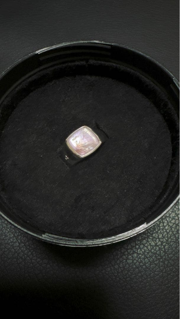 TOM WOOD - SAKURA COLLECTION | トゥモローランド 公式通販