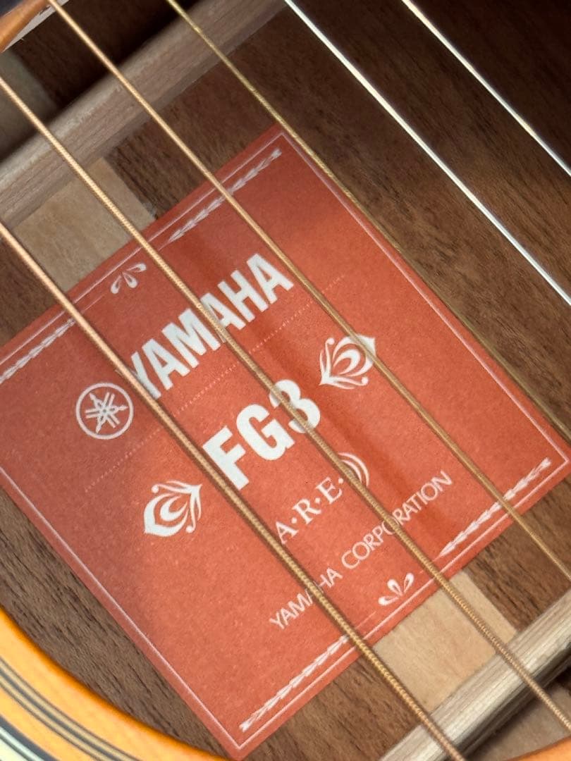 ARIA Elecord FET-STDBS エレアコ ジャンク ARIA FET-STD BLS B級特価