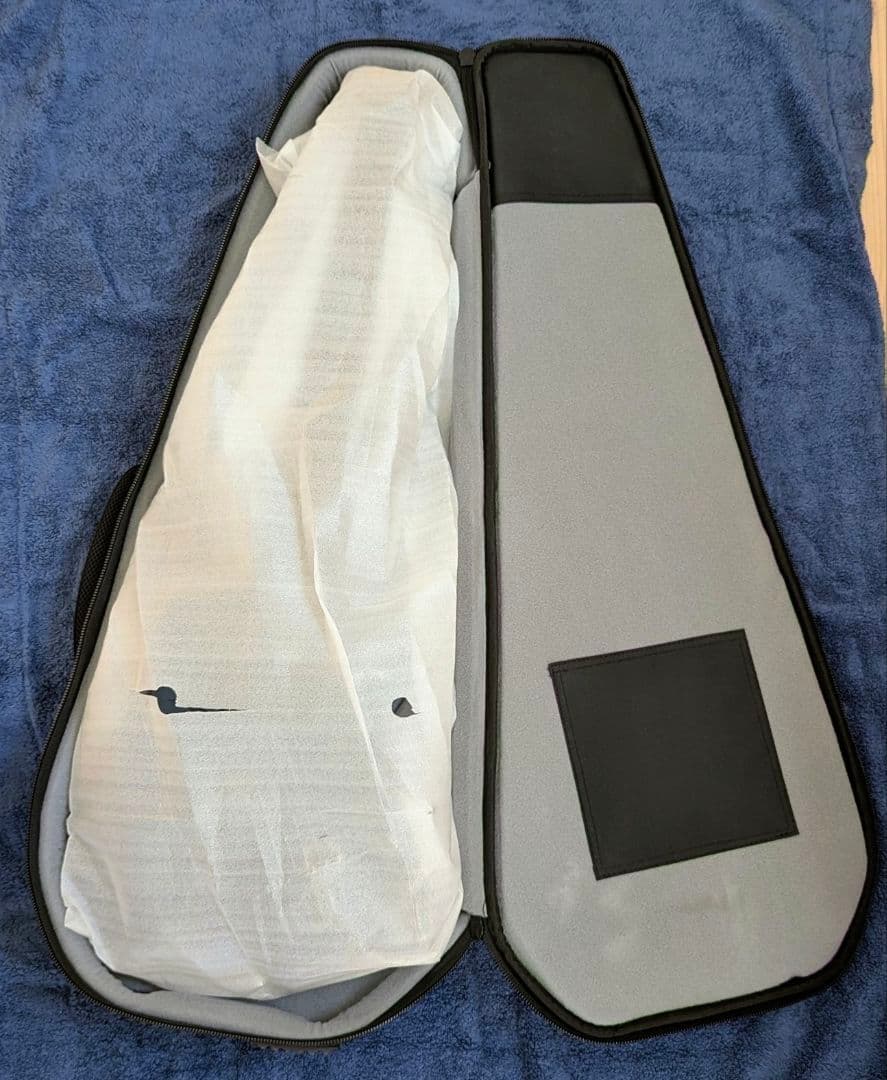 ギター HEX Guitars N600 G/UV