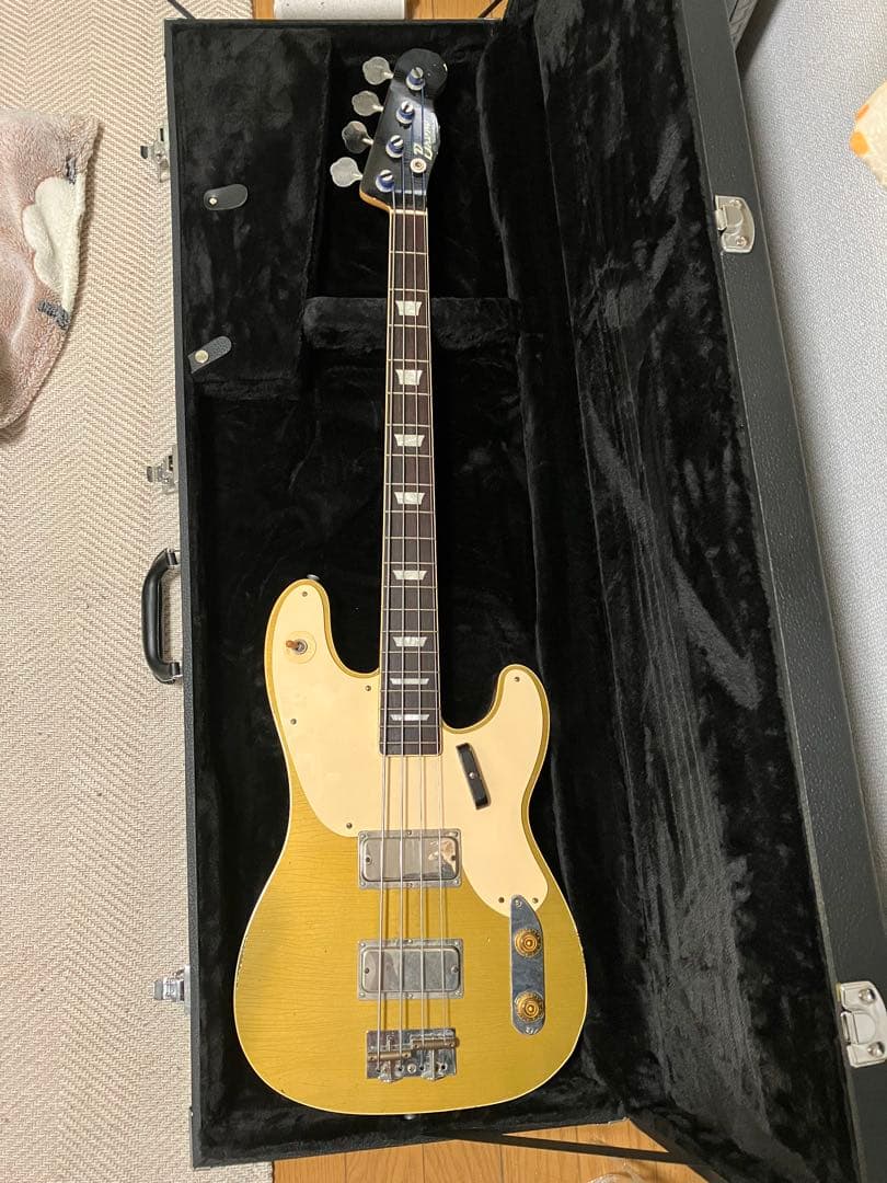 Bruno guitars Telebird Bruno Guitars TELEBIRD | Reverb Bruno