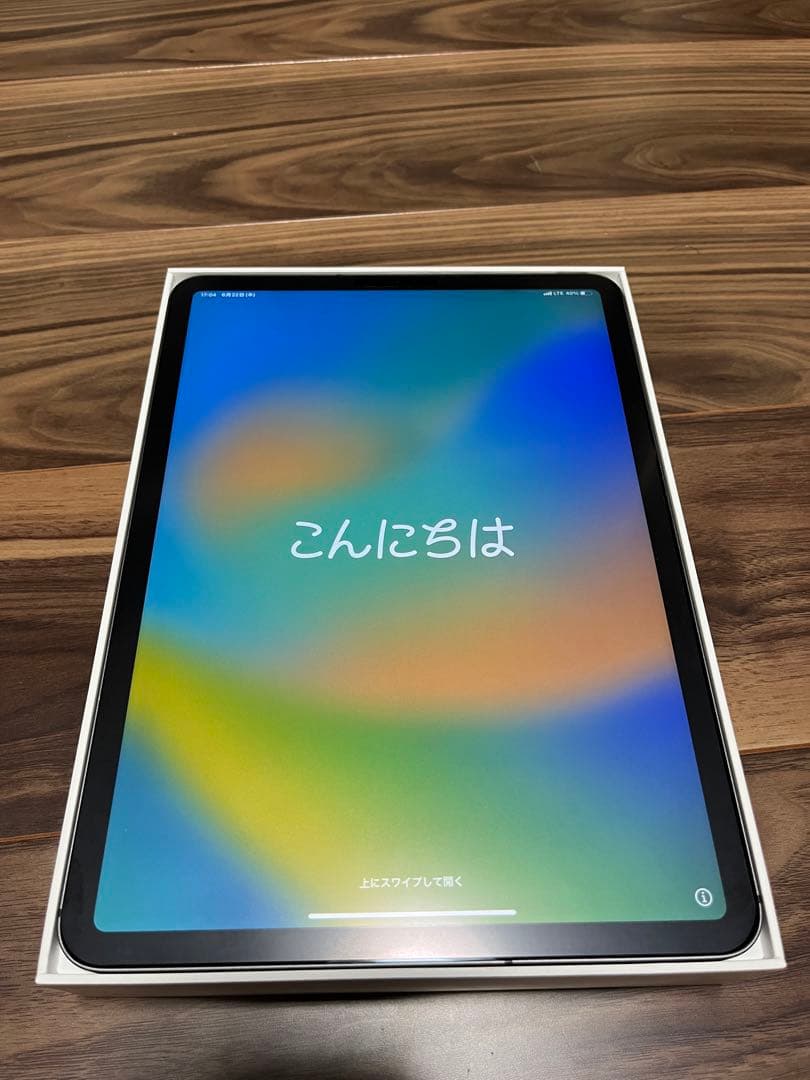iPad Pro 11インチ 第2世代[256GB] セルラー SIMフリー スペー… i pad