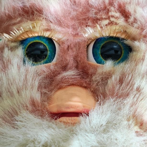 ファービー2 クランベリークッキー 青目 英語版 furby2 #14 - メルカリ