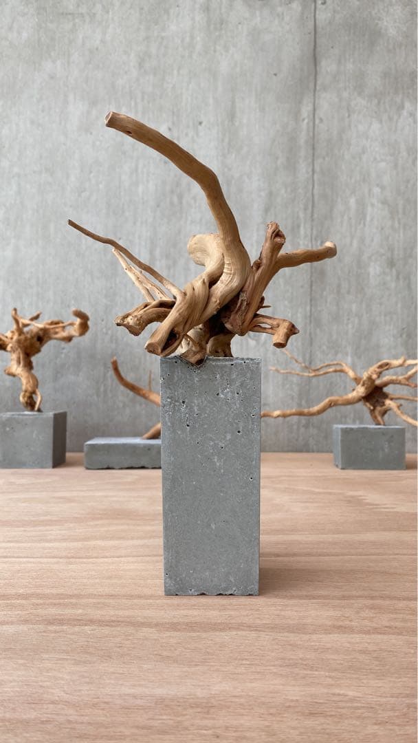 コンクリート盆栽 流木オブジェディスプレイ アート インテリア 鍵