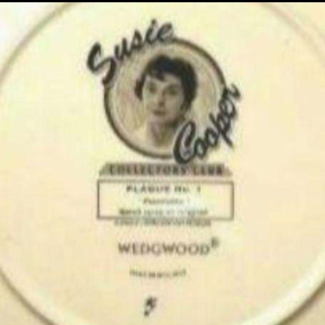 ほぼ未使用、スージークーパー、コレクターズクラブ「パノラマ」直径