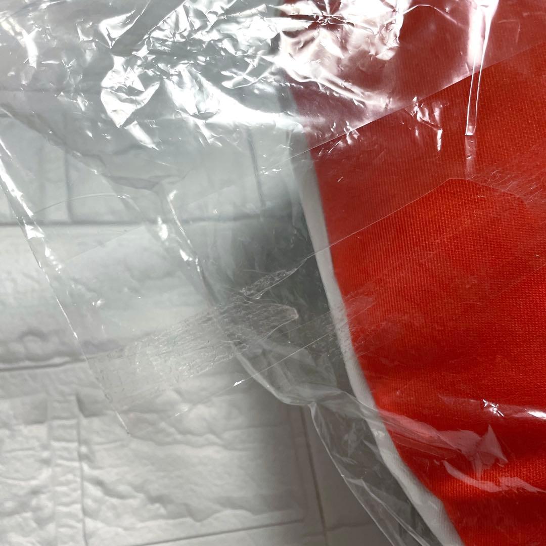 ヒプノシスマイク ヒプマイ レペゼンマルイ2025 抽選会 クッション 白膠木簓