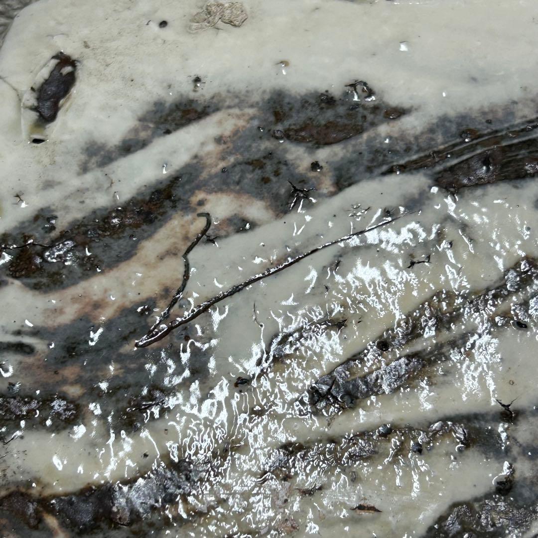 辻村史朗 粉吹八寸 皿