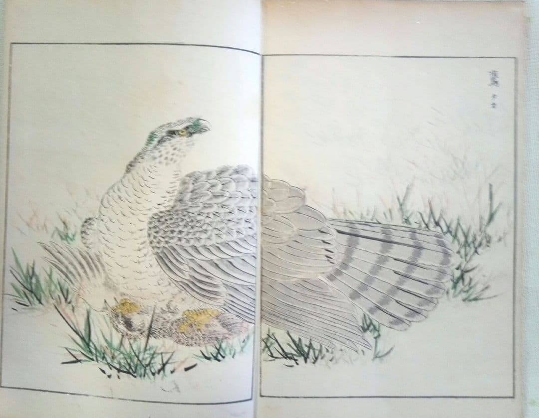 木版画本聚鳥畫譜大正5年再版三冊揃い天、地、人沼田荷舟画初版は明治