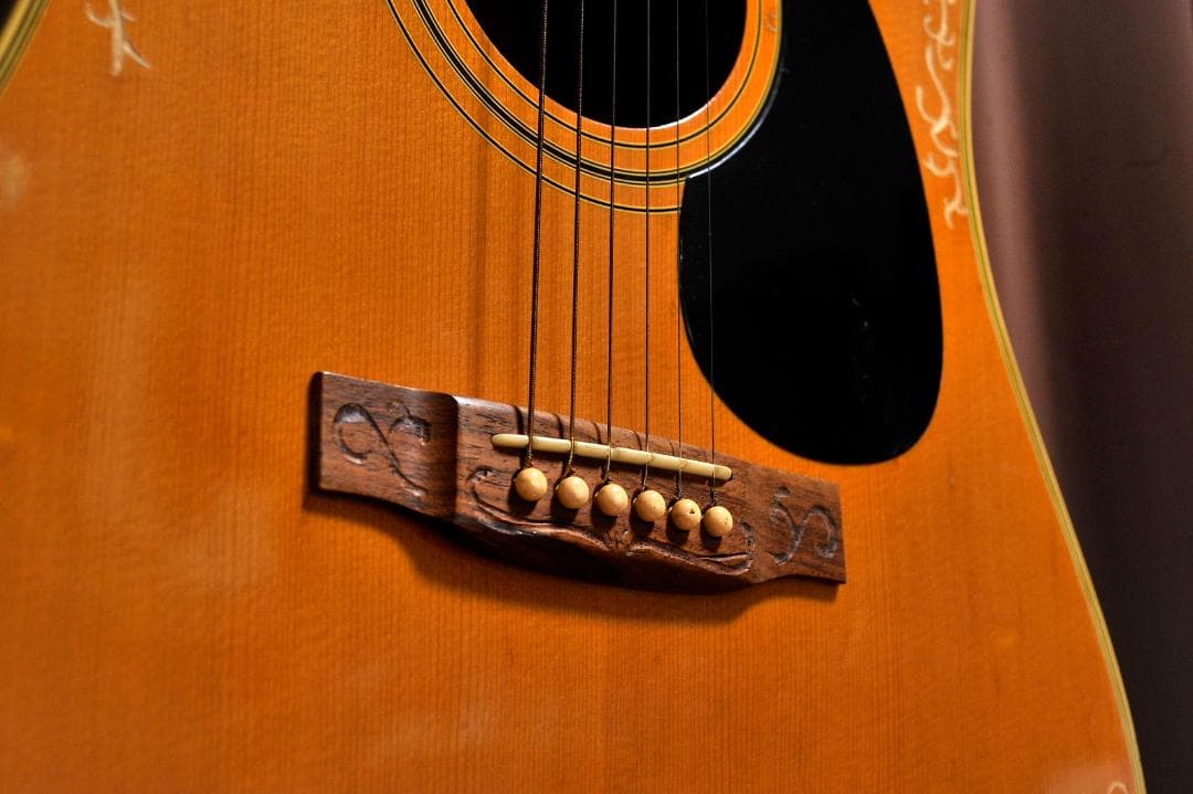 ☆彫刻ギター Cat´s Eyes CEシリーズ 舞台にストリート演奏とオブジェ