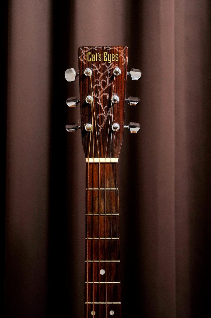 ☆彫刻ギター Cat´s Eyes CEシリーズ 舞台にストリート演奏とオブジェ