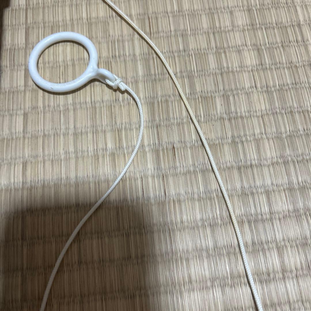 沸かし太郎SCH901付き 保温ヒーター 取扱説明書付き