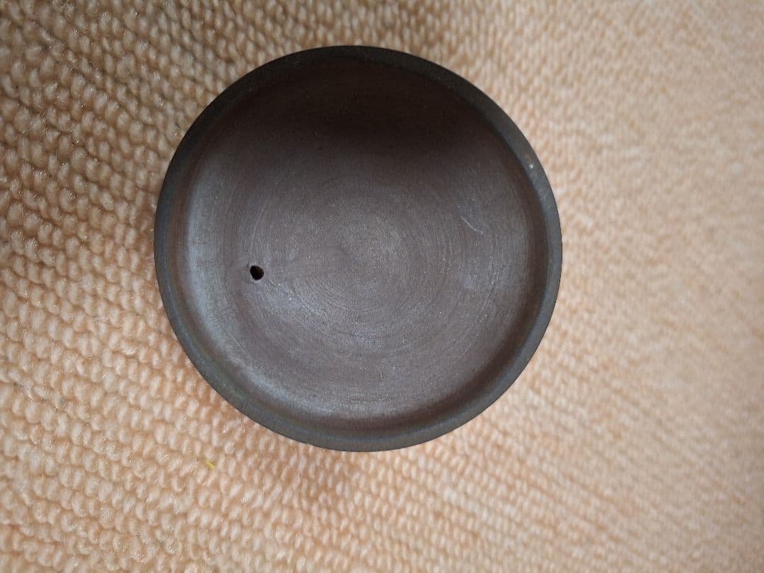 備前焼、宝瓶、摘み伊勢海老