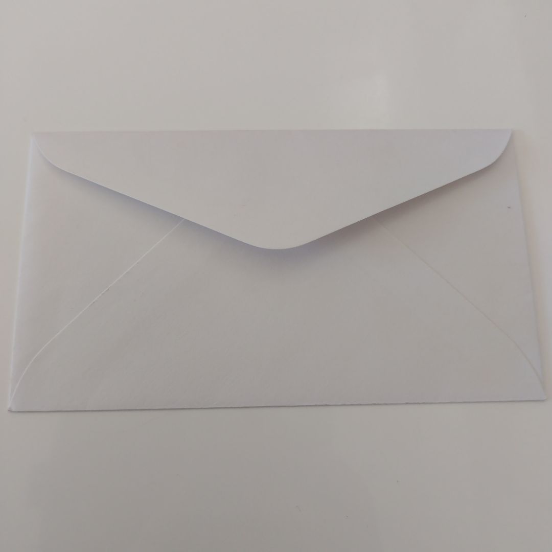 初日カバー☆天皇陛下御在位60年記念☆封筒のみ