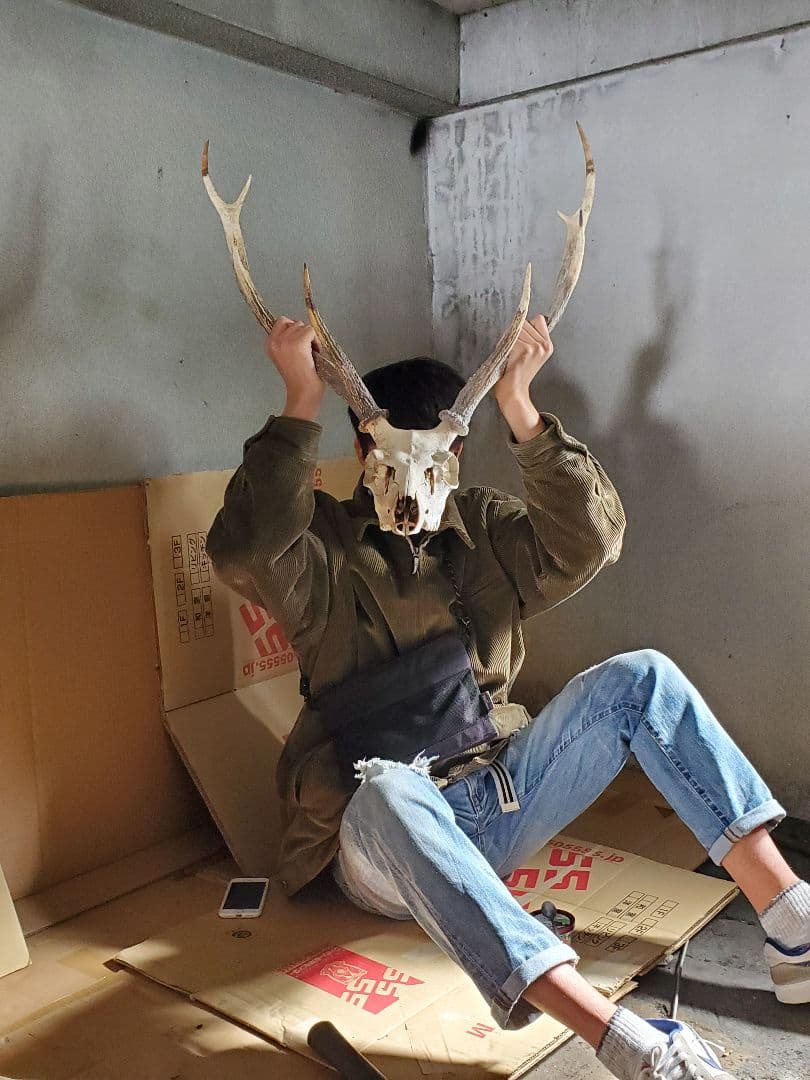 鹿　の　とうこ　つ