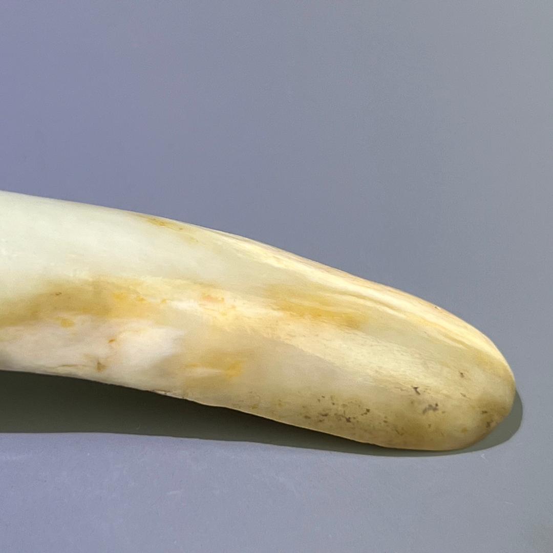 白玉龍帯鉤 清代 和田玉 古玉 古玉擺件 中国古玩 中国