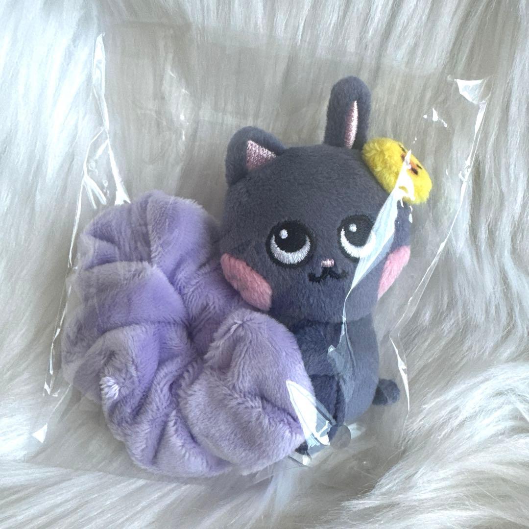 RIIZE ウォンビン トニャンドク ペンラカバー シュシュ キーリング