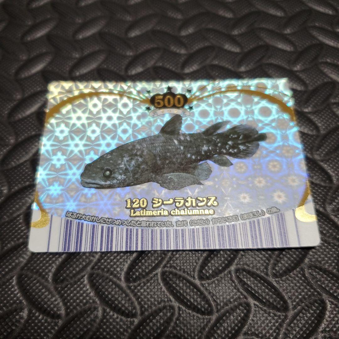 マリンマリンカード ＊シーラカンス＊