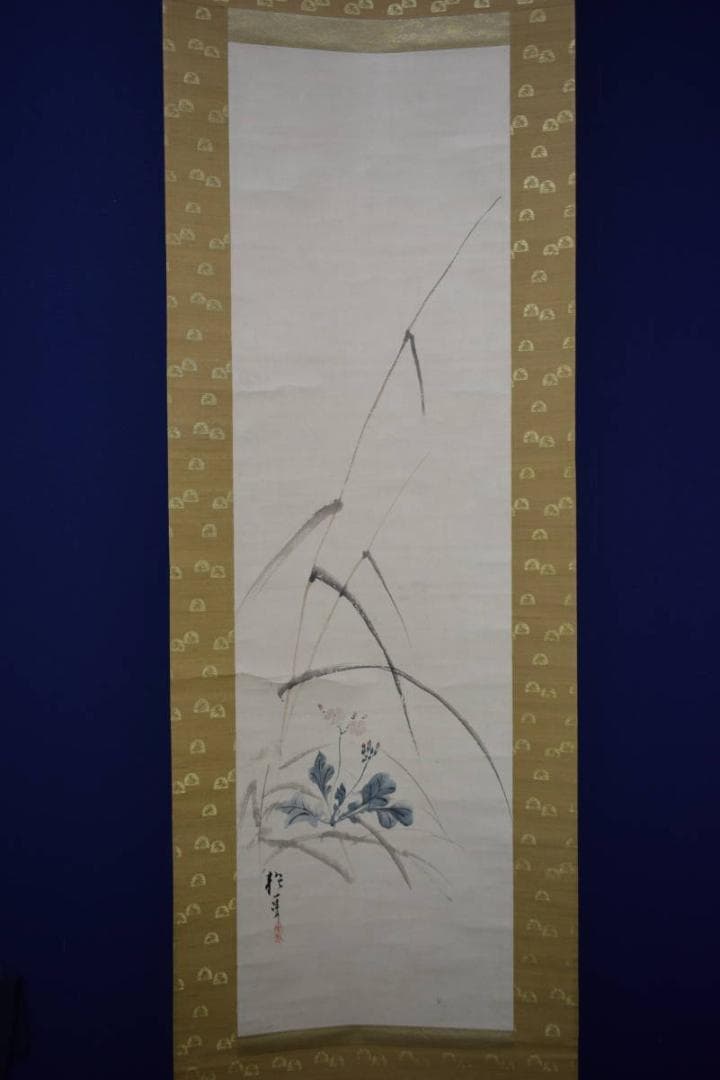 模写/酒井抱一/花図/布袋屋掛軸HI-559