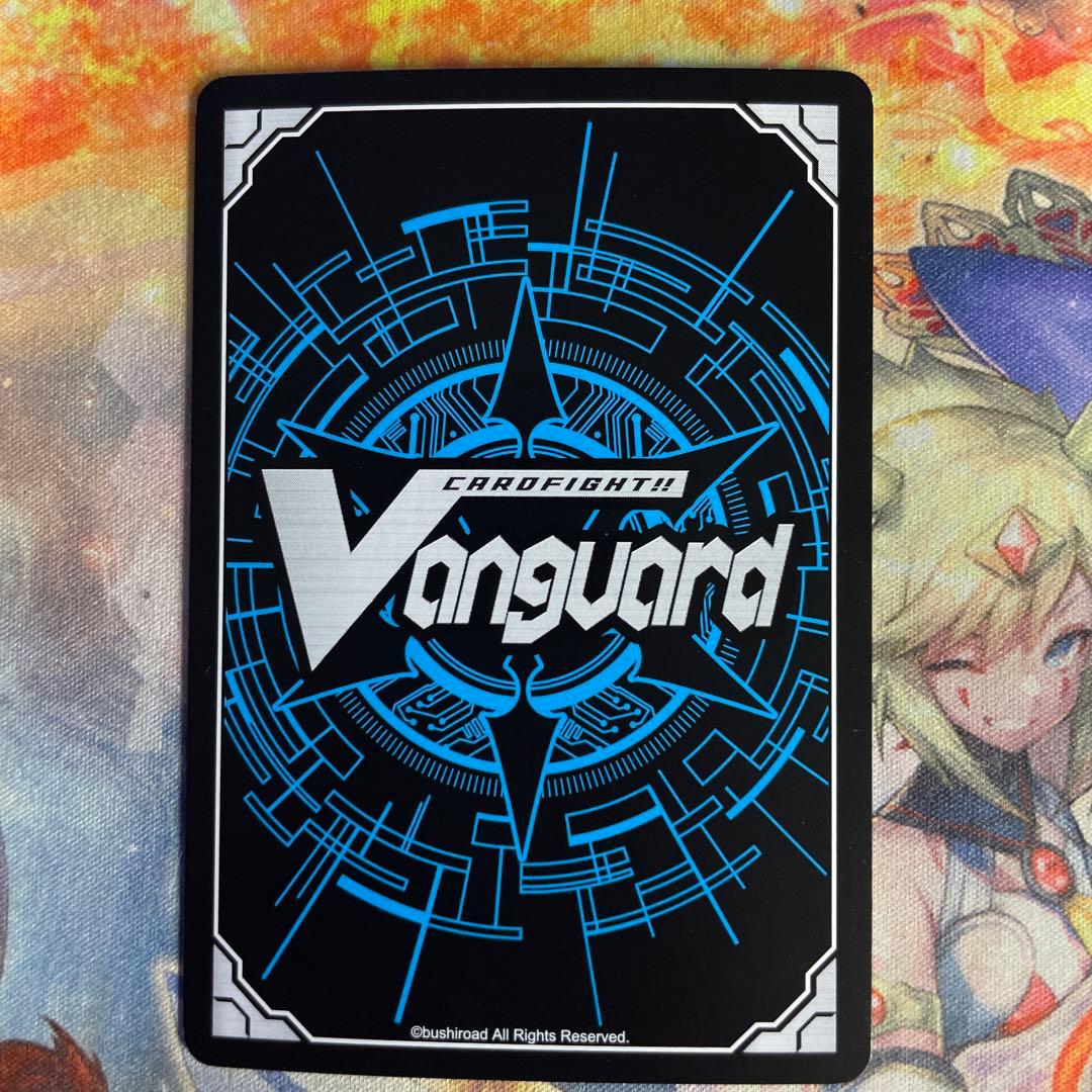 スノウスキップ パルヴィ LSR 特別