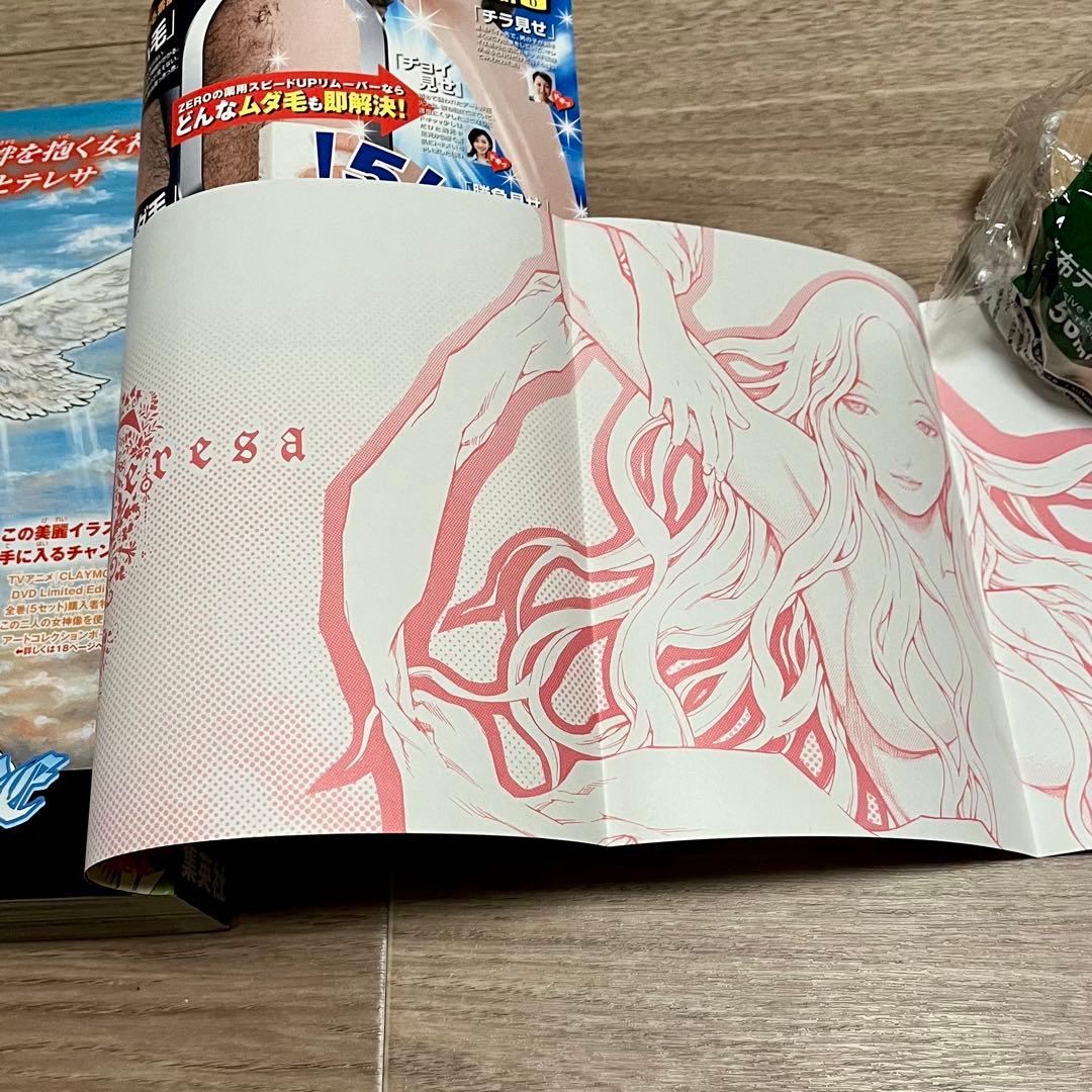 クレイモア 別バージョン•コミックスカバー 月刊少年ジャンプ 付録　他