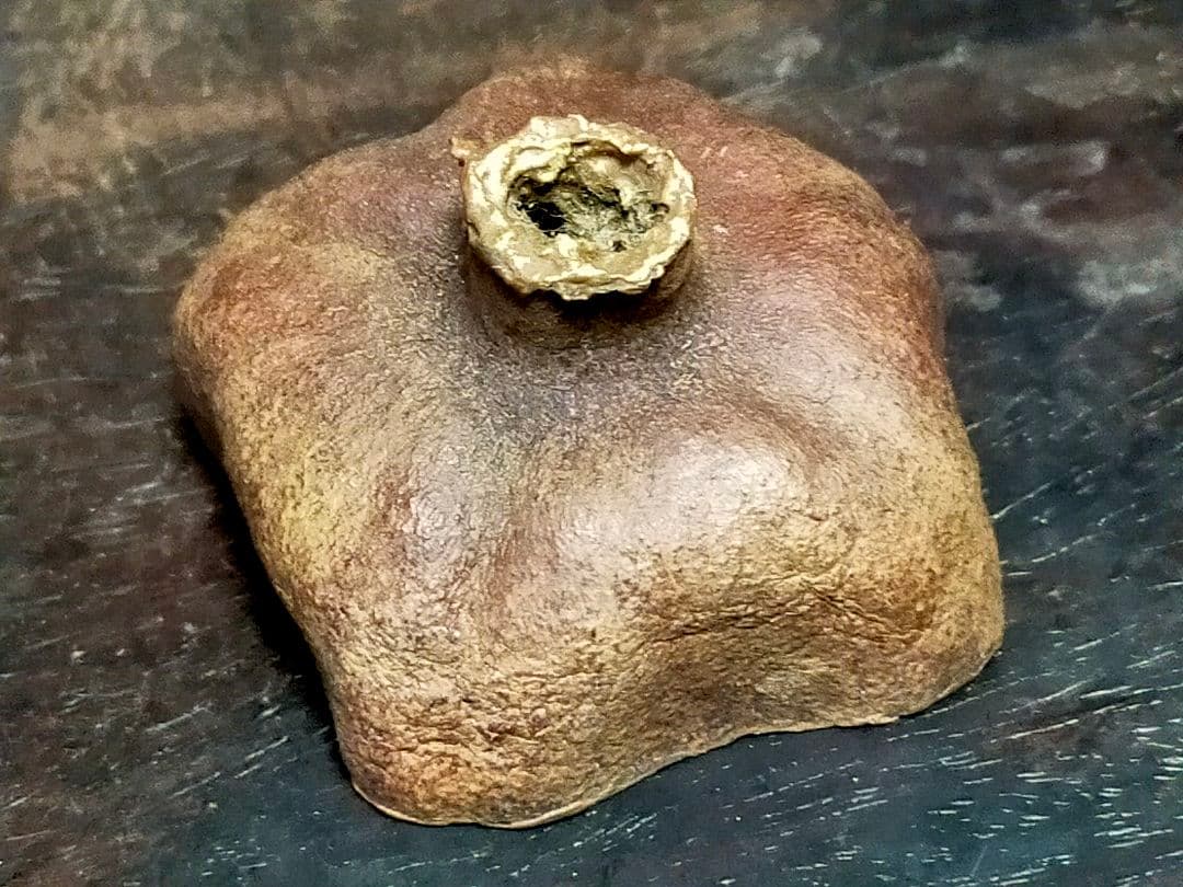 北大路魯山人作 織部焼 青織部 花文 水指 荒川豊蔵極め箱 M