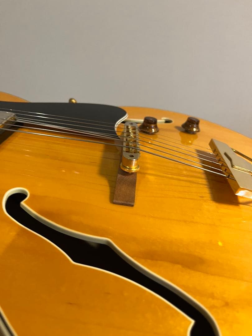 Bunny RFA-65 フルアコ