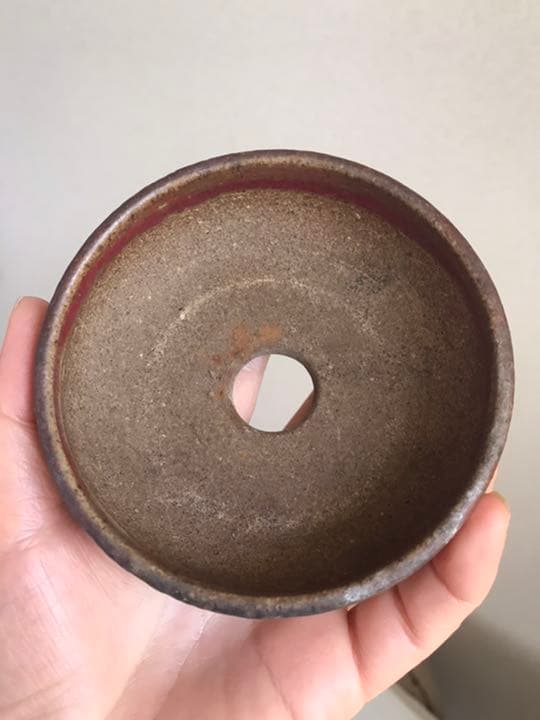 盆栽鉢　超希少時代ミニ盆栽鉢鶏血辰砂支那鉢？和鉢〜亭古色古鉢骨董鉢赤い盆栽鉢