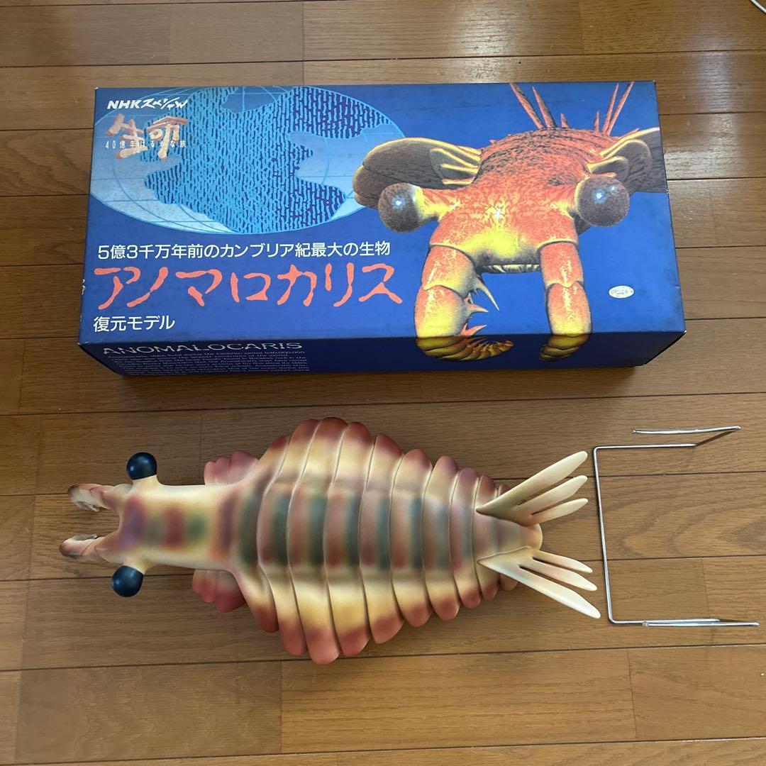 カンブリア紀　アノマロカリス　フィギュア　化石　復元モデル　NHKスペシャル カンブリア紀 アノマロカリス フィギュア 化石 復元モデル NHK