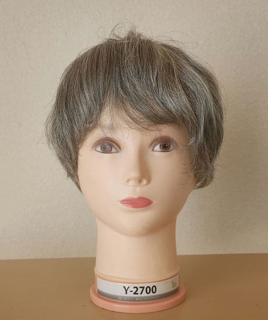 プー NAO-ART ナオ アート シルバーヘア ウィッグ ART 6-0