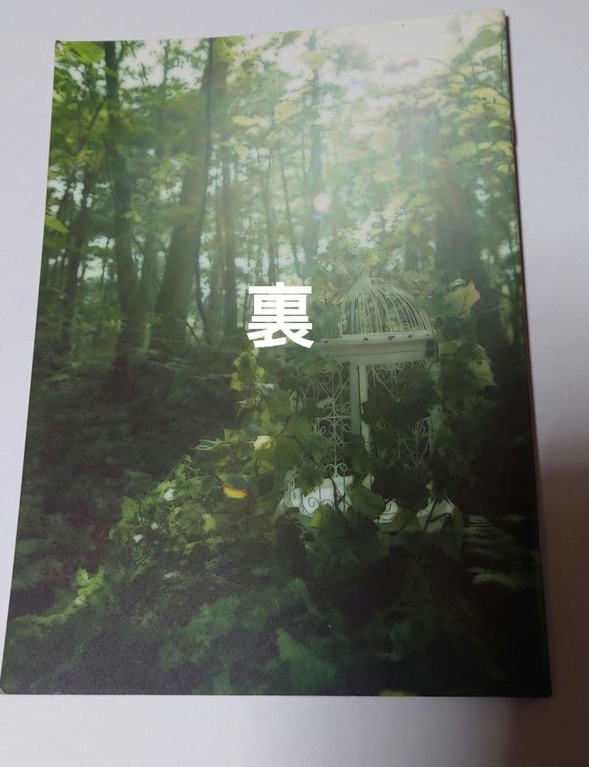 LAREINE Never Cageパンフレット コメントサイン入り